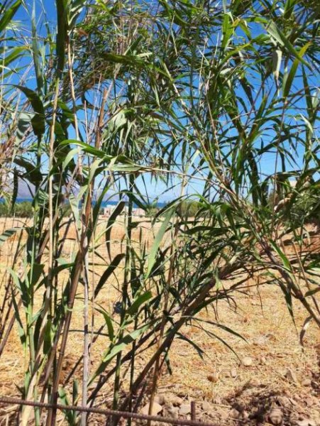 Voukolies Kreta, Voukolies: Grundstück mit Baugenehmigung und Meerblick zu verkaufen Grundstück kaufen